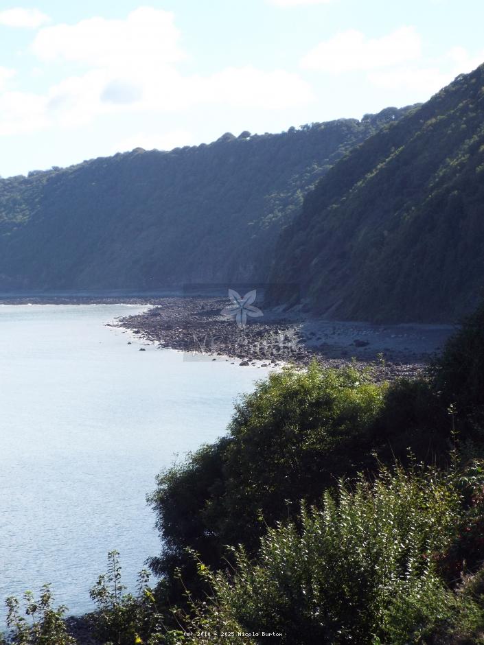 Clovelly