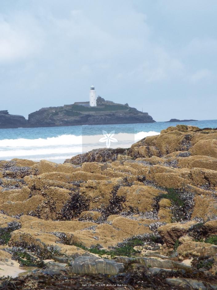 Hayle
