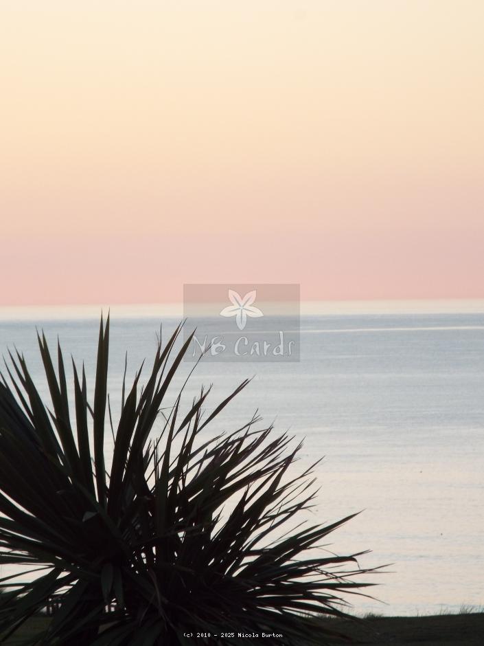 sunset 12