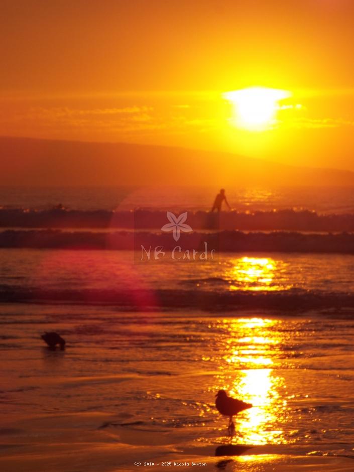 sunset 14