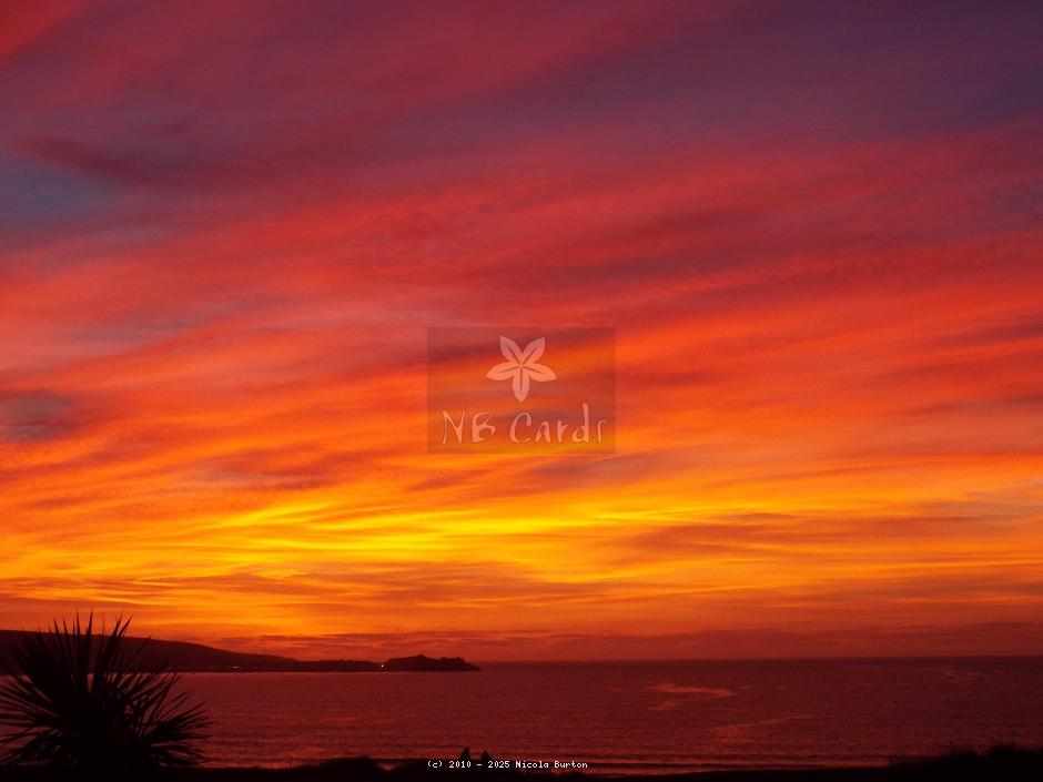 sunset 31