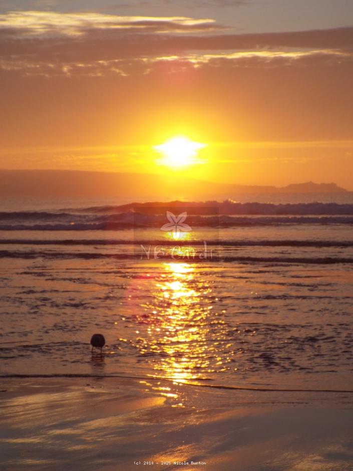 sunset 40