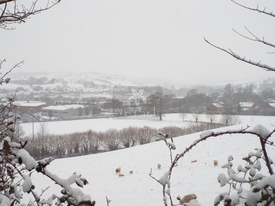 Winter Tiverton 1